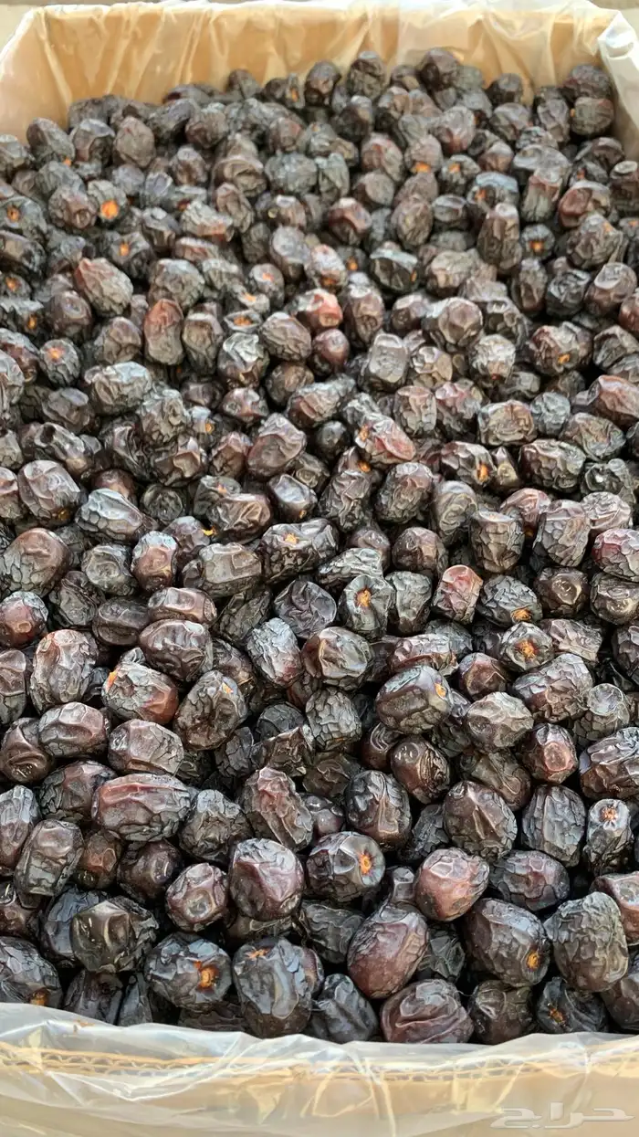 تمور المدينة ( عجوة صقعي مجدولة مبرومة ) سكري القصيم 3