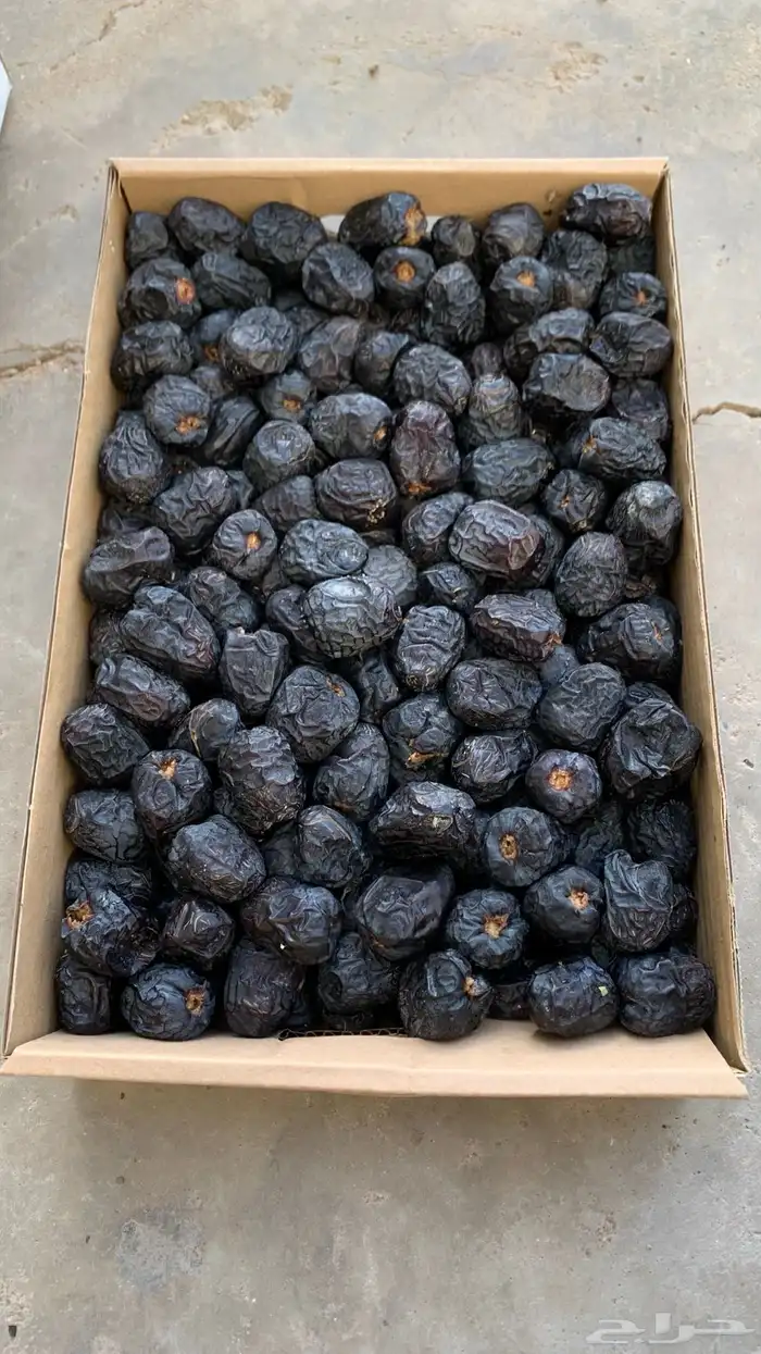 تمور المدينة ( عجوة صقعي مجدولة مبرومة ) سكري القصيم 7