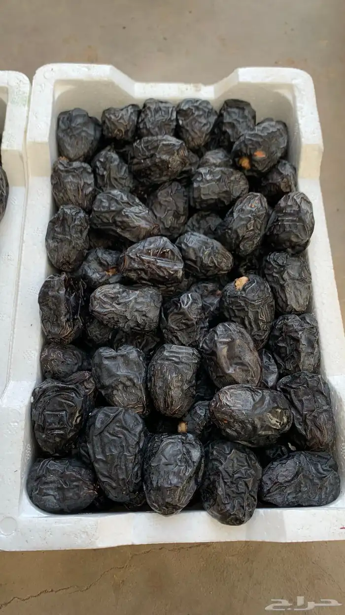 تمور المدينة ( عجوة صقعي مجدولة مبرومة ) سكري القصيم 10