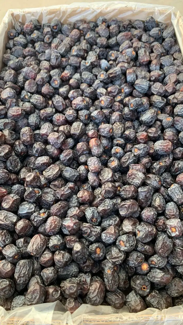 تمور المدينة ( عجوة صقعي مجدولة مبرومة ) سكري القصيم 2