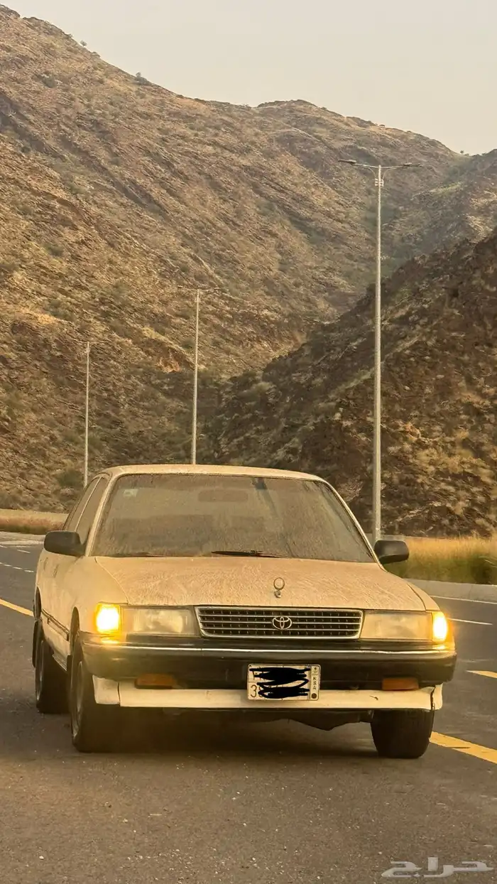 كراسيد 91 6