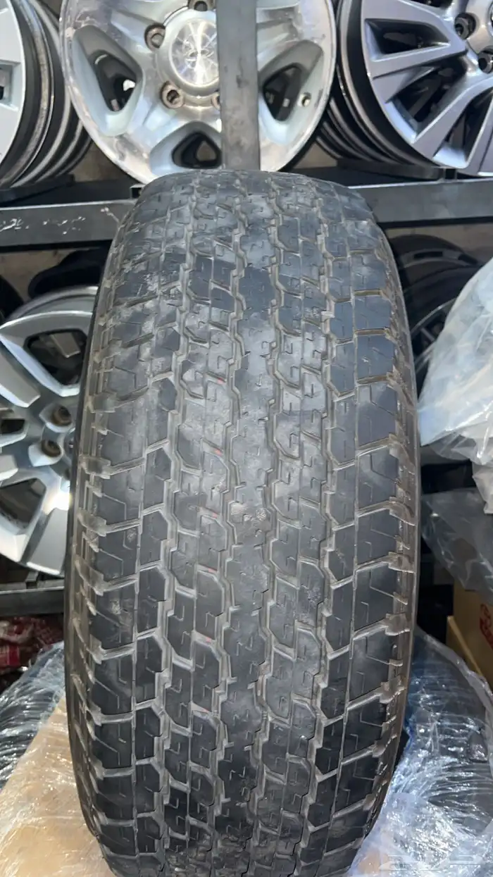 جنوط فتك اصلي وكاله معا كفرات برجستن 2023 0