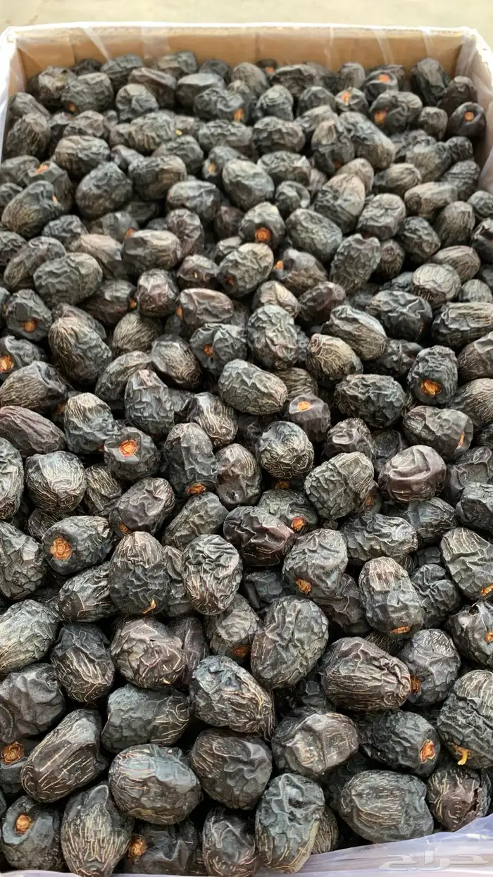 تمور المدينة ( عجوة صقعي مجدولة مبرومة ) سكري القصيم 1