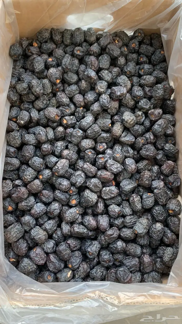 تمور المدينة ( عجوة صقعي مجدولة مبرومة ) سكري القصيم 4