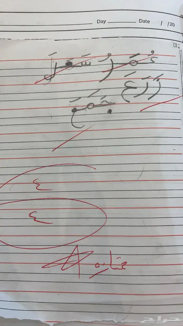 مدرسة خصوصية 9