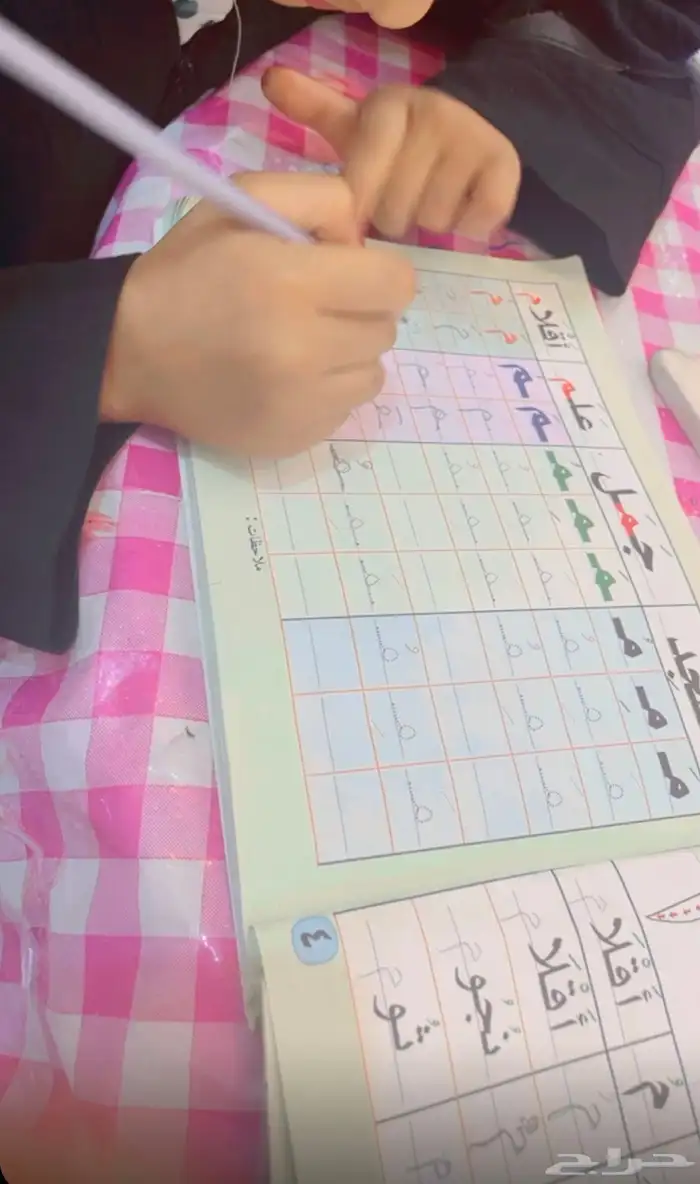 مدرسة خصوصية 2