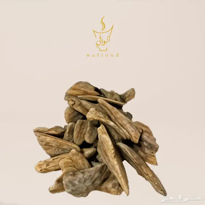 اصل العود المحسن 7