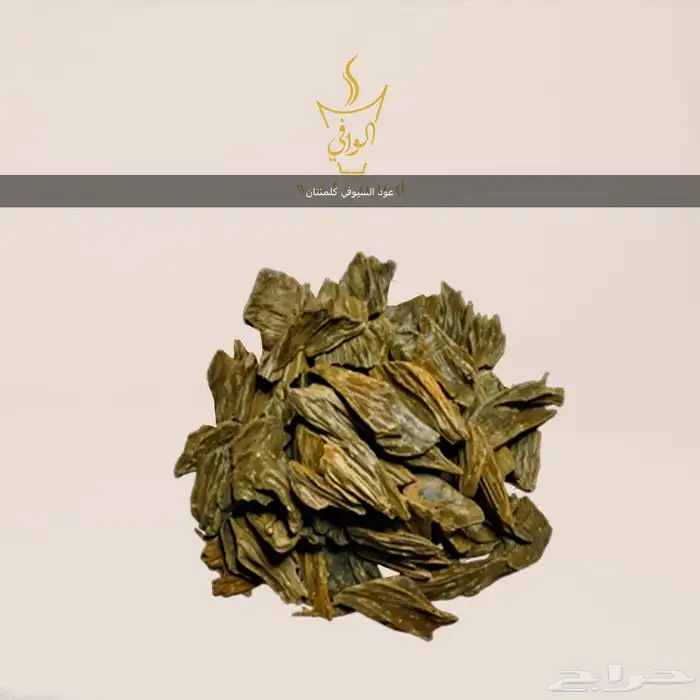 اصل العود المحسن 10