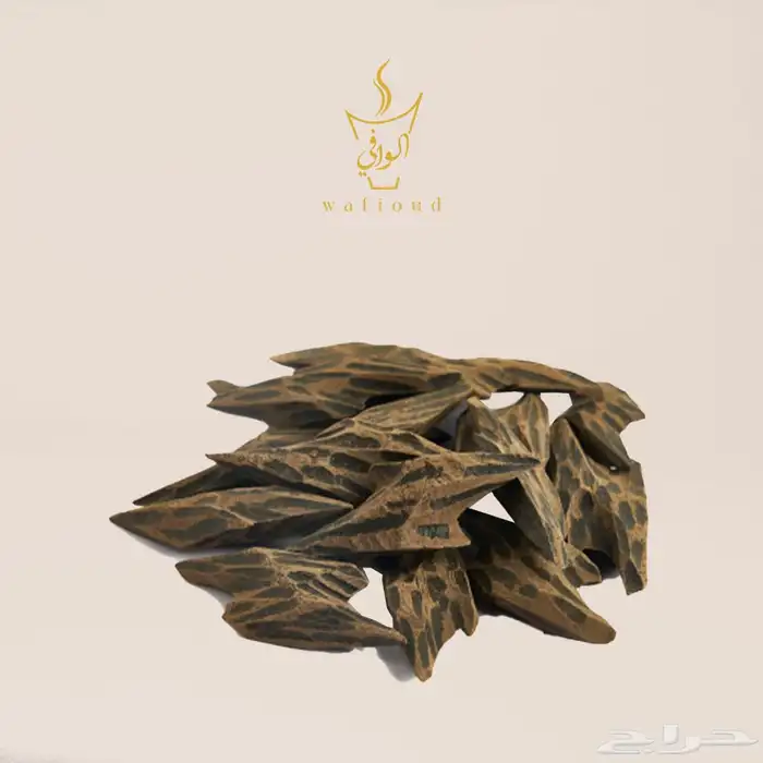اصل العود المحسن 8