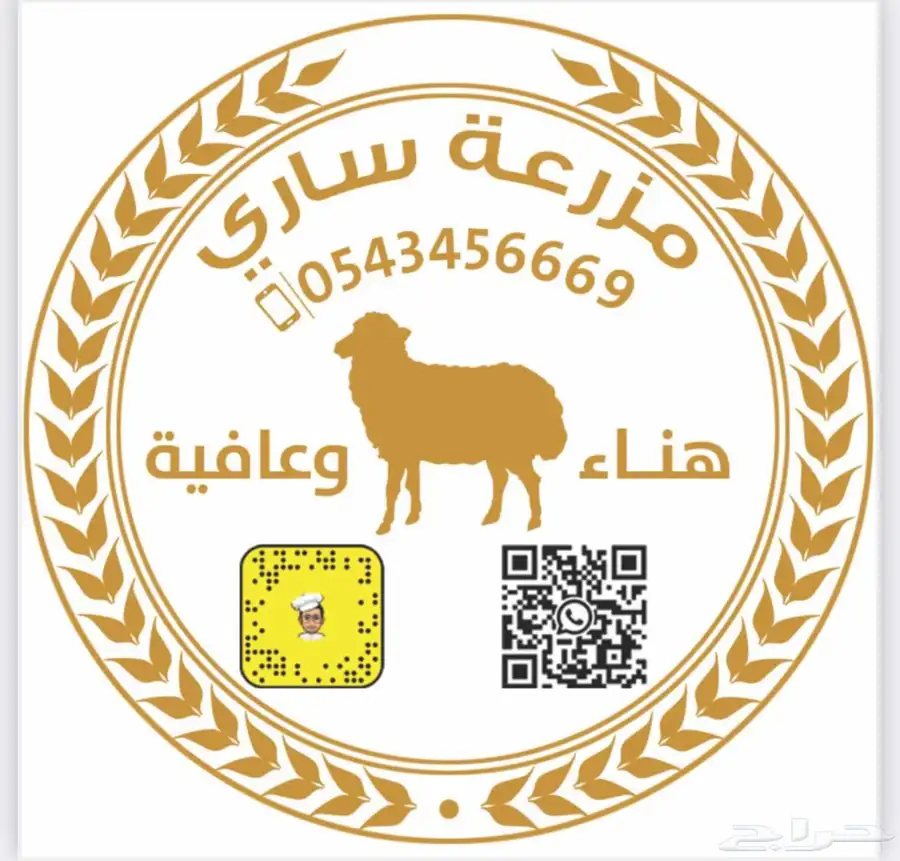 نقدم لكم اجود انواع الذبائح الحري بجده 1