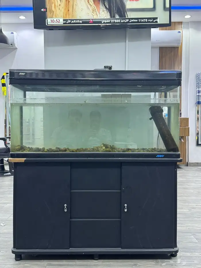 يوجد لدينا حوض سمك كبير مع ادراج سفليه 0