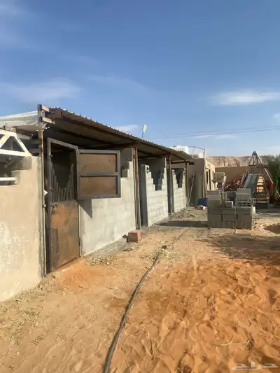 إيواء الخيل 1