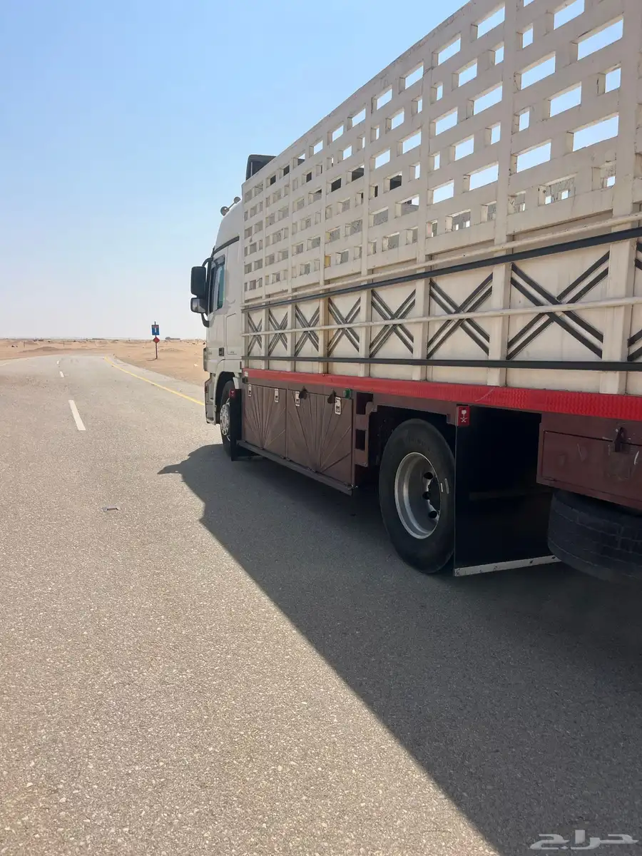 نقليات لوري دينات 0