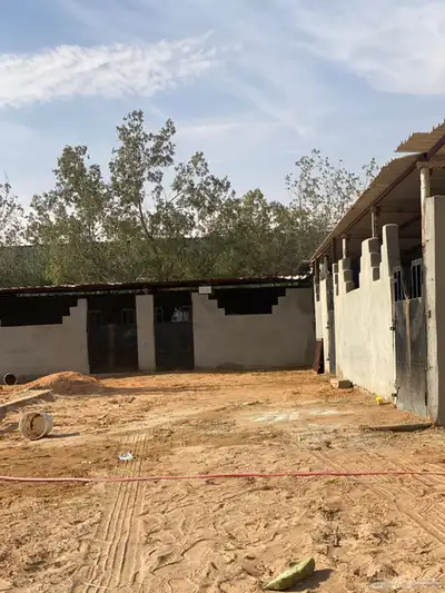 إيواء الخيل 5