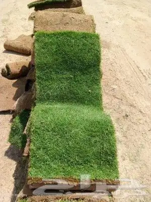 ثيل طبيعي سي الفين c2000درجه اولى شرط 7