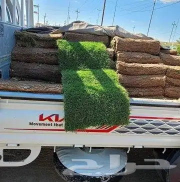 ثيل طبيعي سي الفين c2000درجه اولى شرط 3