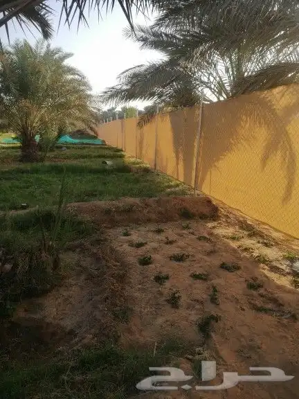 تركيب شبوك 0