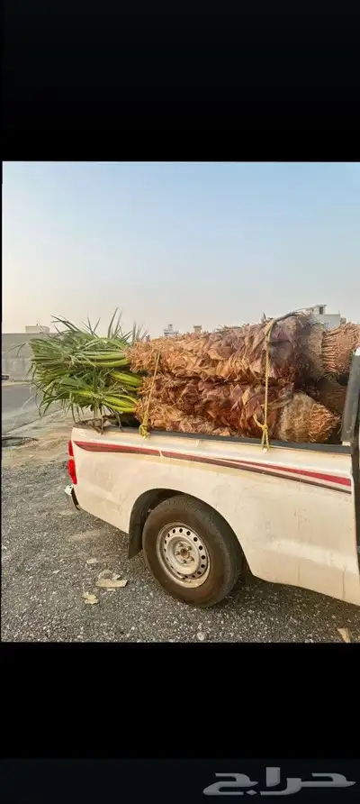 يوجد لدينا جميع انواع انخيل 9