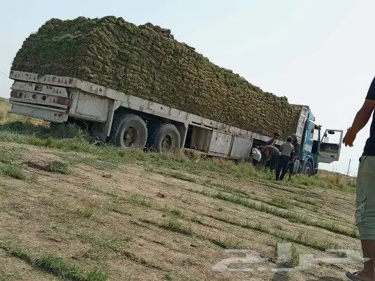 ثيل طبيعي سي الفين c2000درجه اولى شرط 9