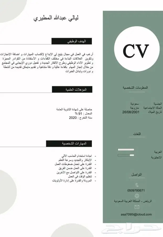 تصميم (cv) سيرة ذاتية 2