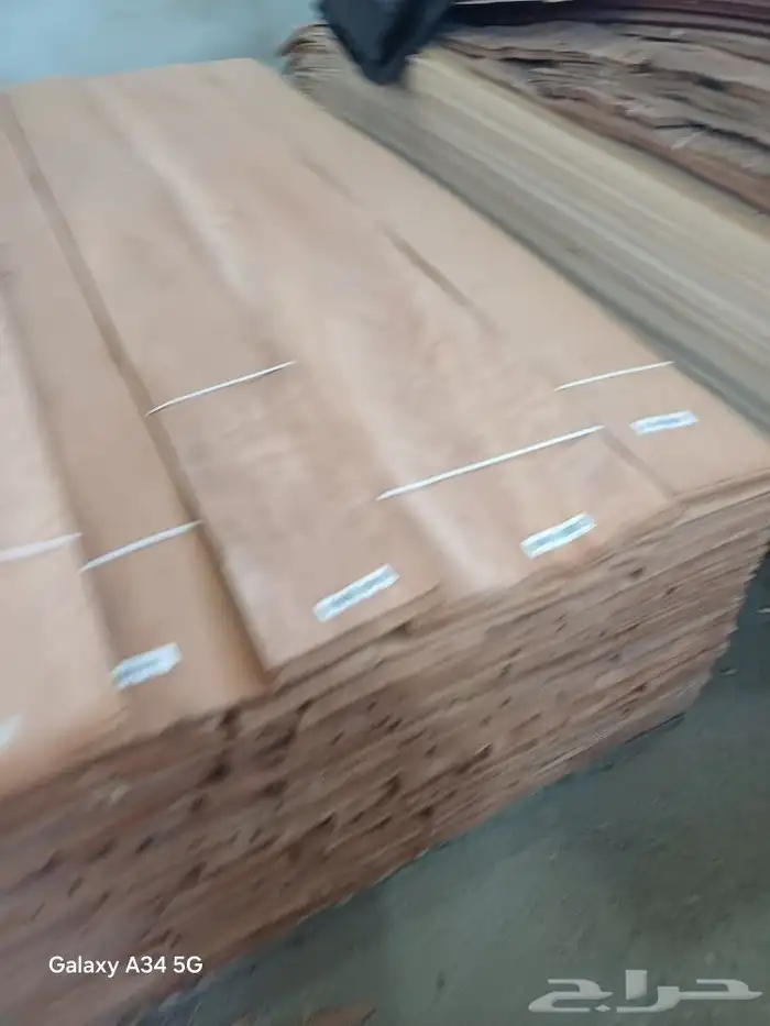 خشب قشرة بجميع الأنواع 4