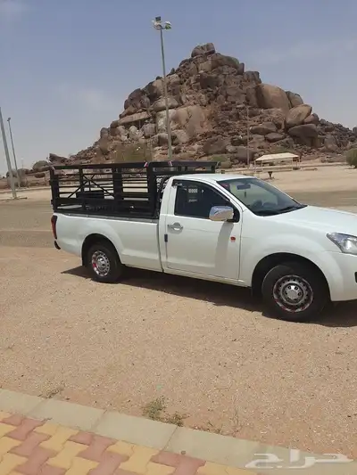 توصيل دجاج وطيور 2