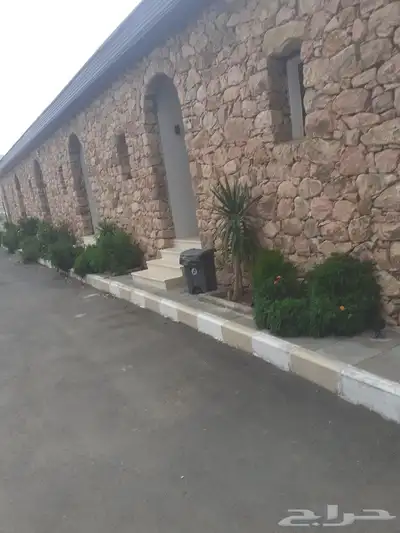 مبني حجر 0