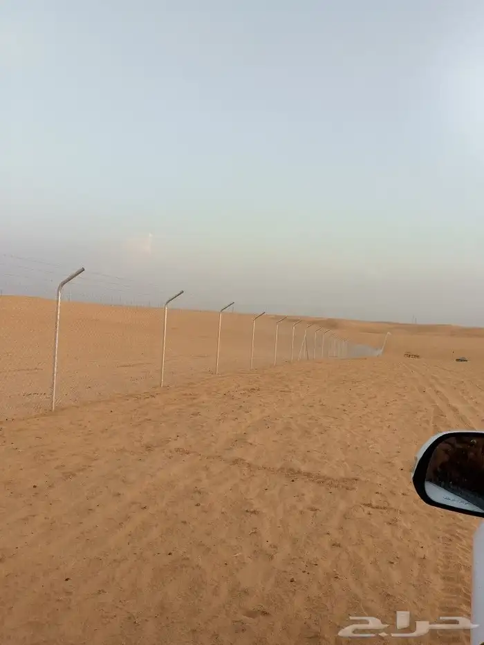 مقاول شبوك ونخيل 3