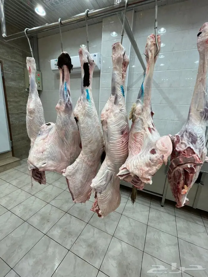 متجر ذبيحة تابي وتمارا 73