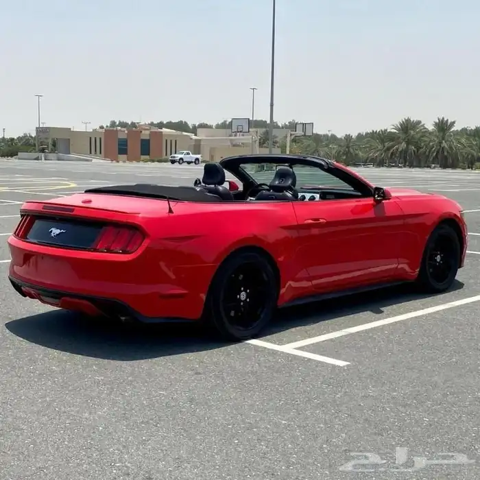 مطلوب مطلوب مطلوب موستنج كشف 2015 وفوق بحدود 50. 60الف 0