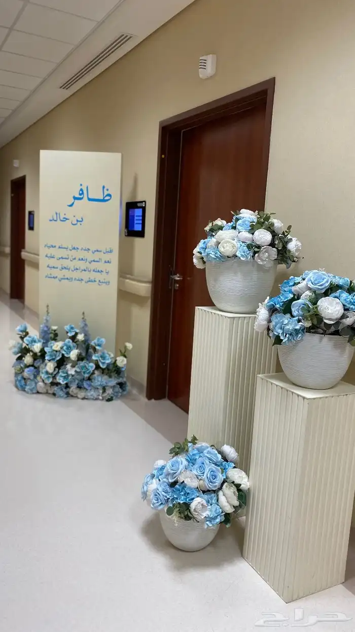 تنسيق مداخل مواليد أستقبال مواليد 0