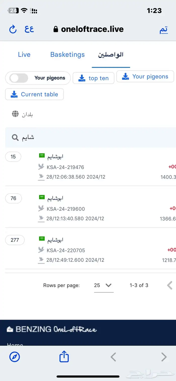 زاجل سباقات 0
