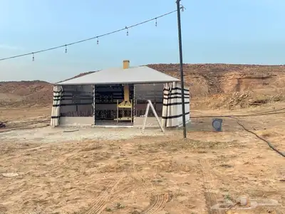 بيوت شعر ع هيكل حديد كامل بدون اطناب 19