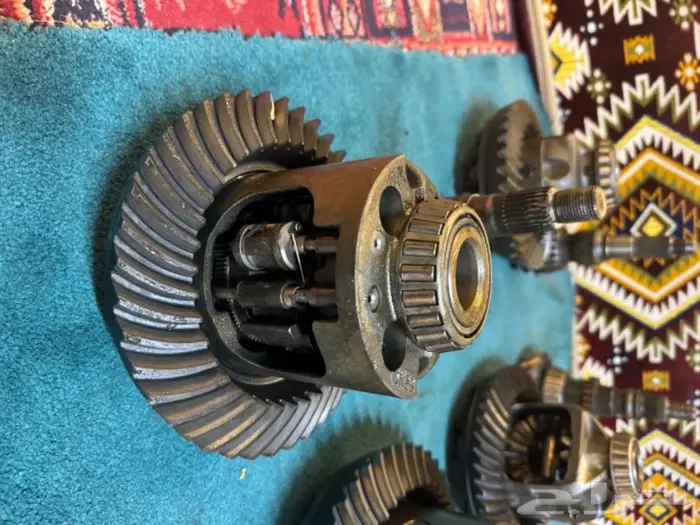 كارونة ددسن عادي ودبل كارونة جمس وشفر عادي ودبل كارونة فورد 14