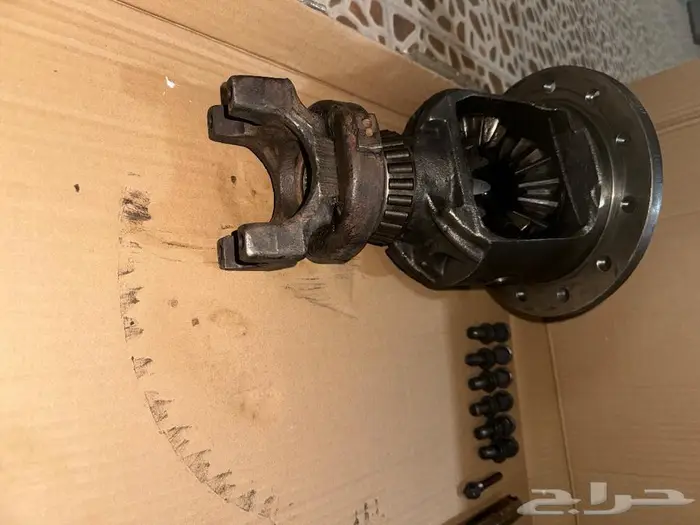 كارونة ددسن عادي ودبل كارونة جمس وشفر عادي ودبل كارونة فورد 8