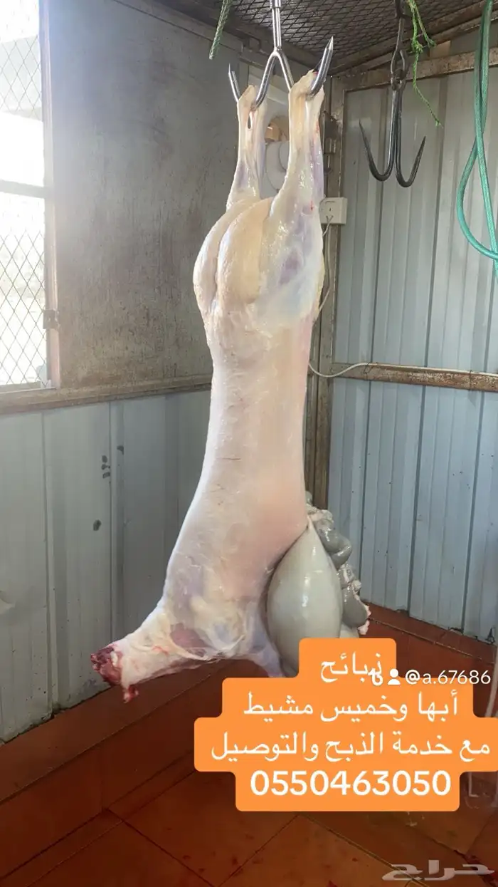 ذبايح مع خدمة الذبح والتوصيل 2