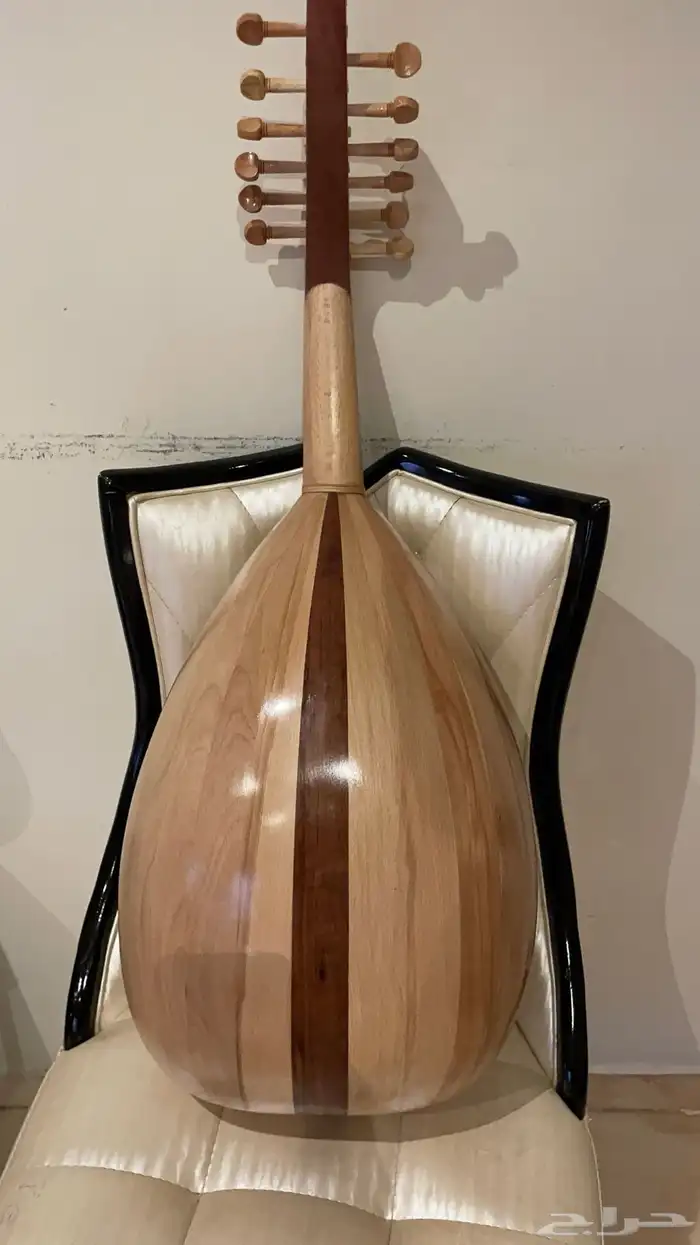 عود مصري نص بطن 1
