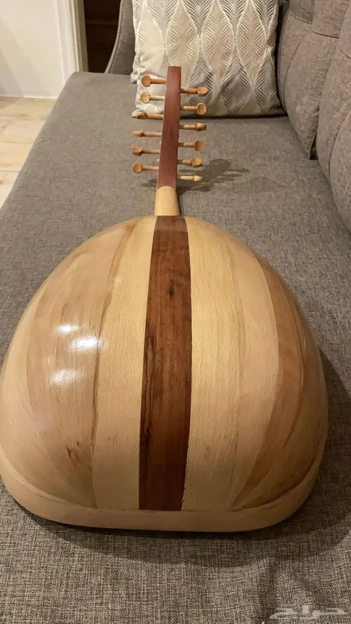 عود مصري نص بطن 2