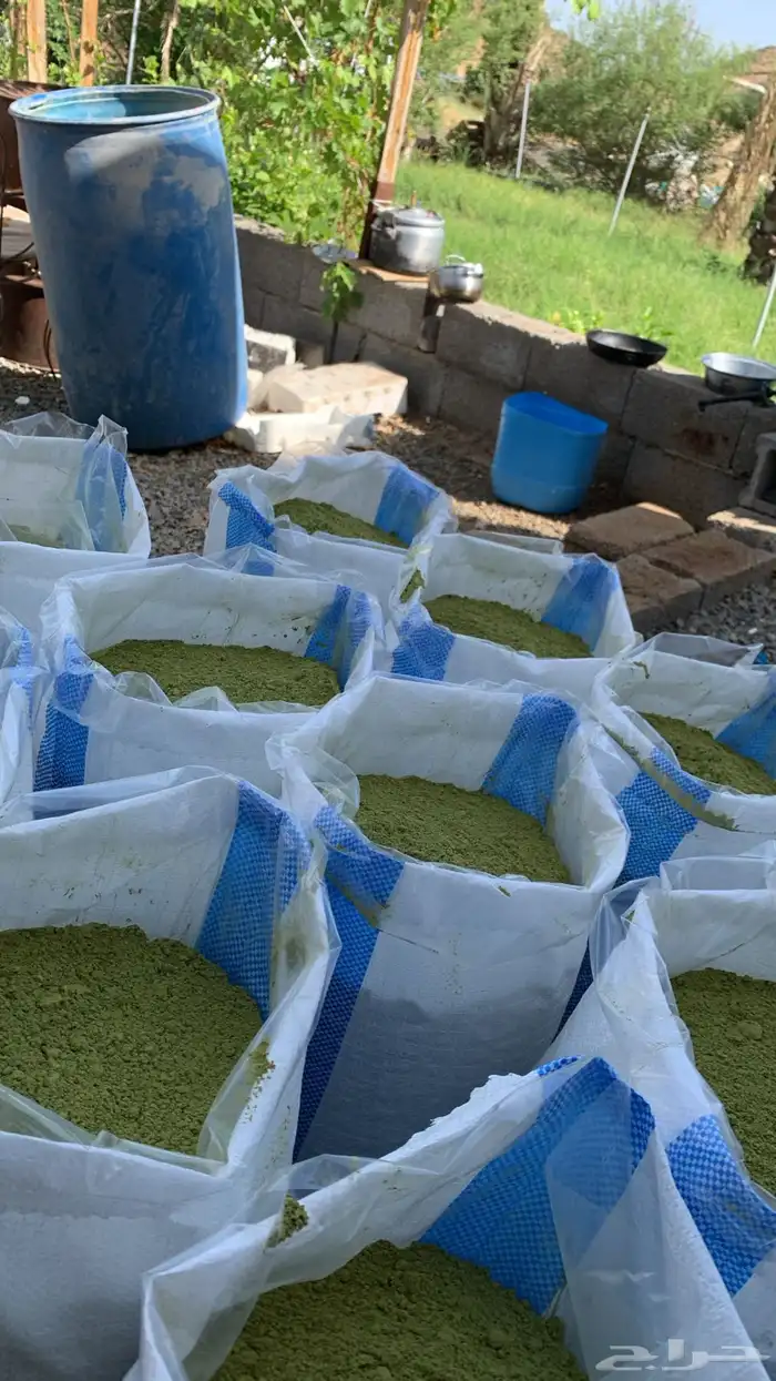 حناء المدينه ينبع النخل ممتاز 100 100 1