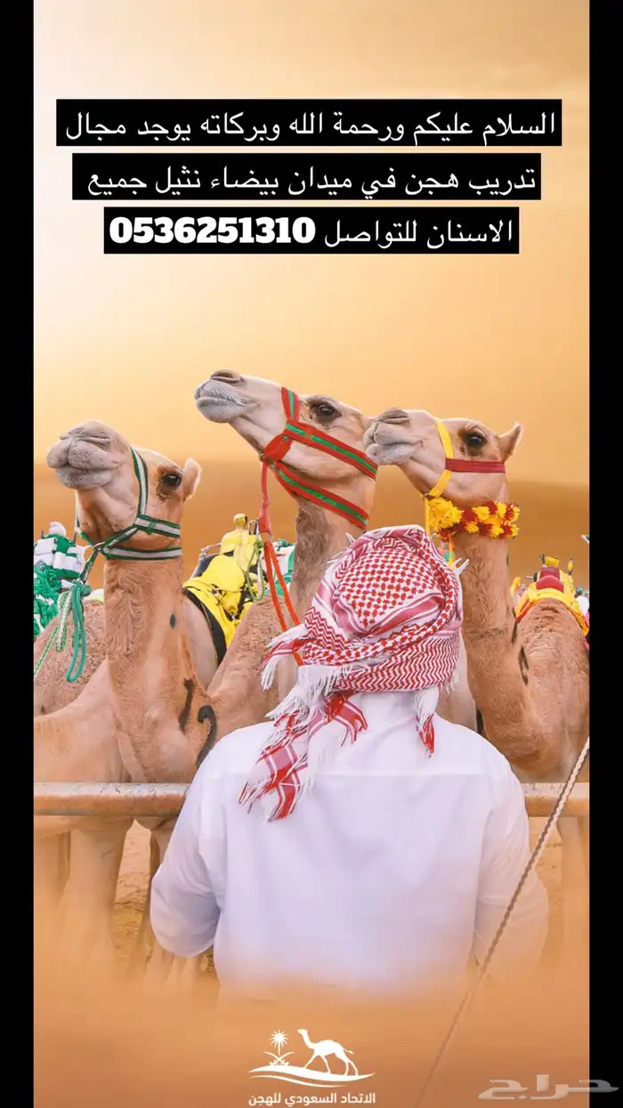 السلام عليكم ورحمة الله وبركاته يوجد مجال عسف وتدريب الهجن 0