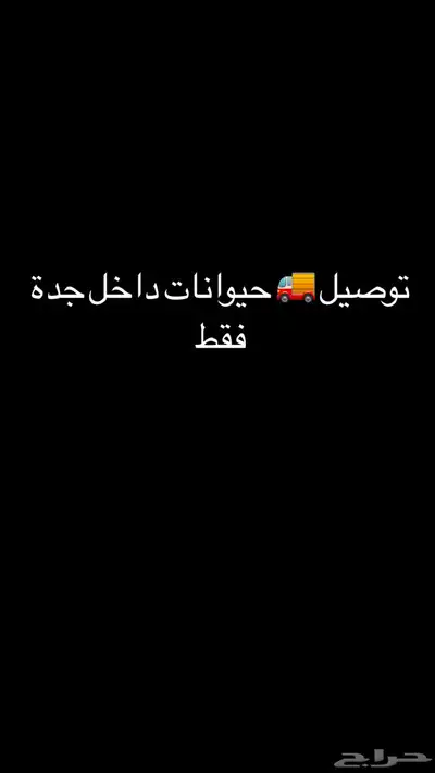 توصيل حيوانات   هدايه داخل جدة و بسعر رمزي جدا و سريع 0
