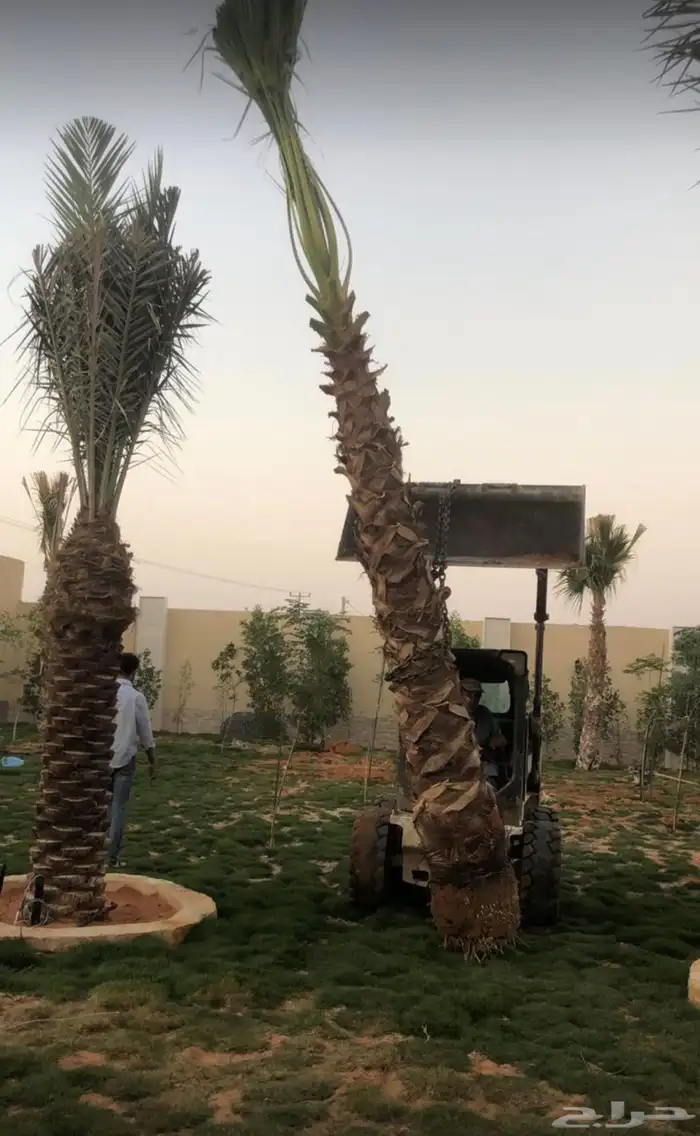 تنسيق حدائق تبوك 32