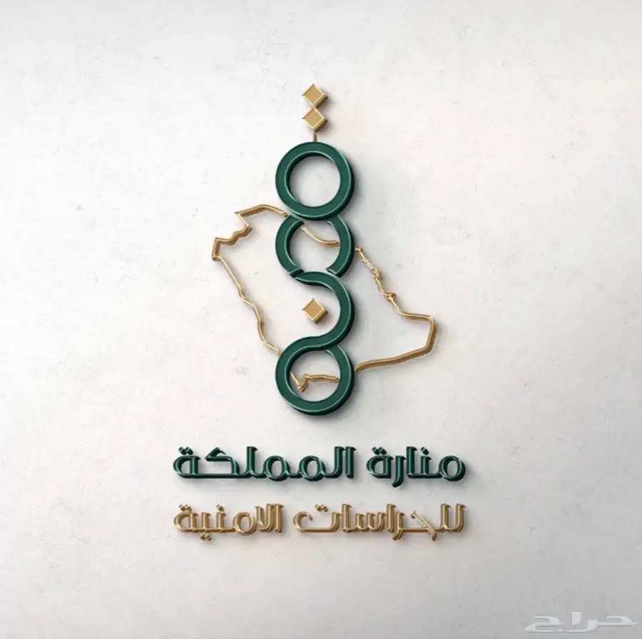 شركه امنيه 0