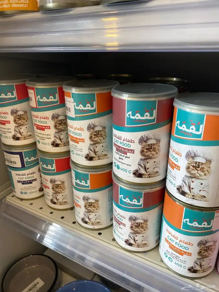 دراي فود لقمه 2