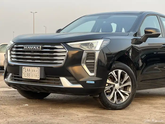 مجموعة هافال جوليان على حالة الوكالة 2024 ممشى قليل 17