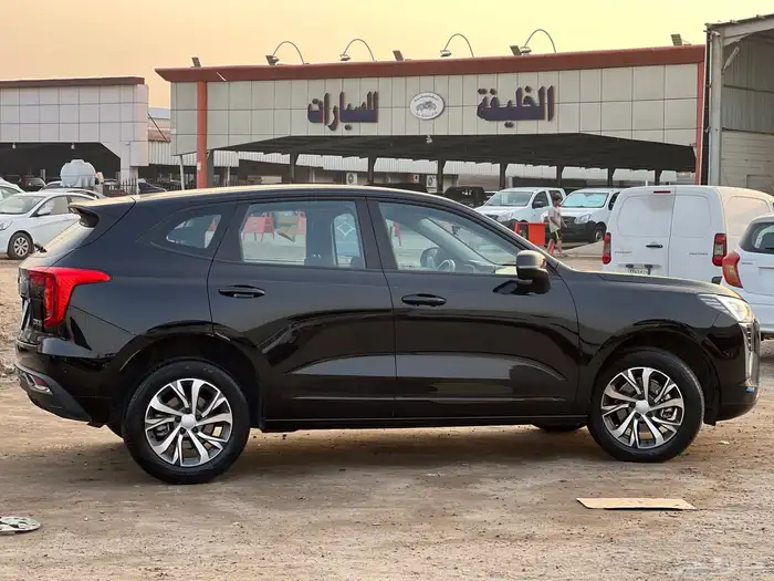 مجموعة هافال جوليان على حالة الوكالة 2024 ممشى قليل 10