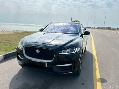 جاقوار تحت الضمان 3