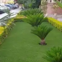 تنسيق وصيانة الحدائق جدة ومكة 8