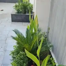 تنسيق وصيانة الحدائق جدة ومكة 10