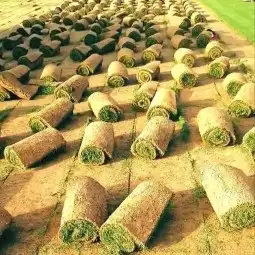 تنسيق وصيانة الحدائق جدة ومكة 4